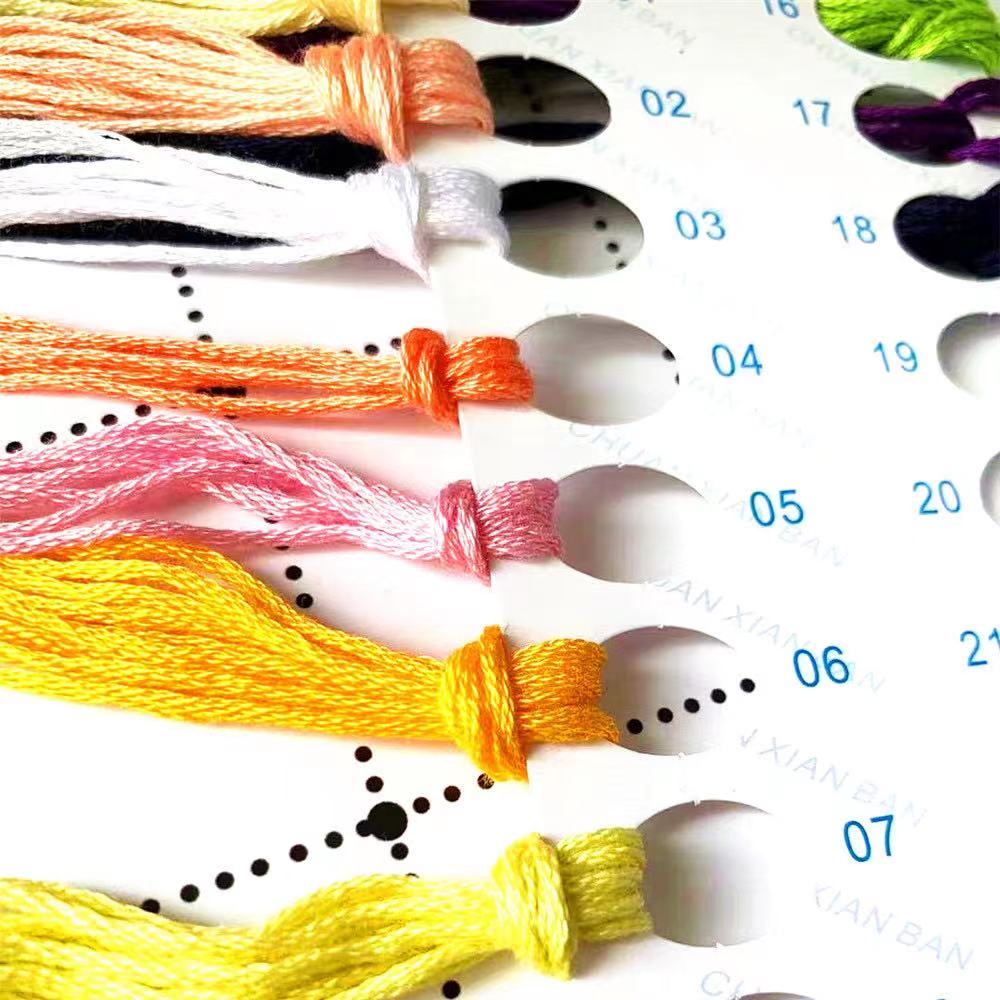 6702 DIY Cross Stitch Kits Cro - Cotton Embroidery Thread Skeins recension och pris